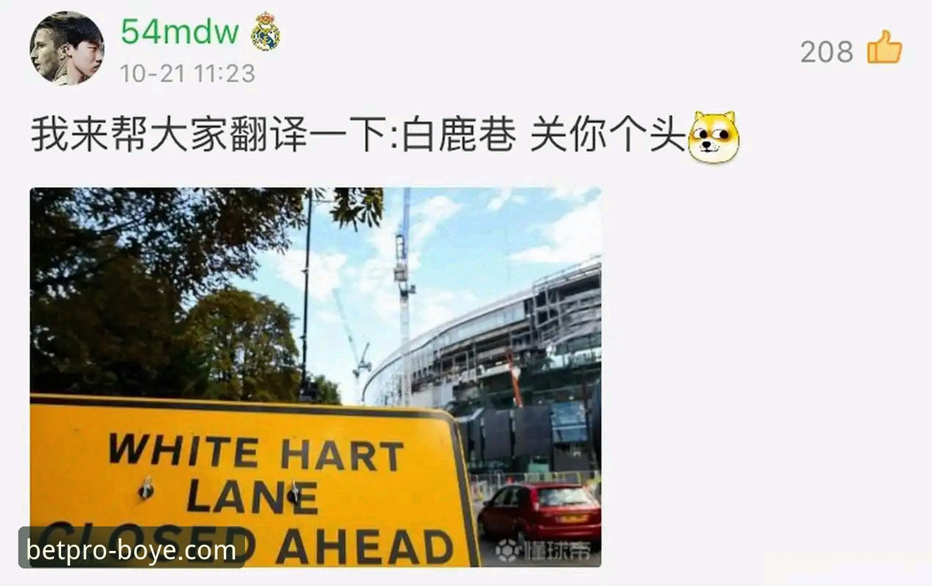 揭秘罗伯逊加盟热刺背后的深层博弈：从红军传奇到白鹿巷新篇章