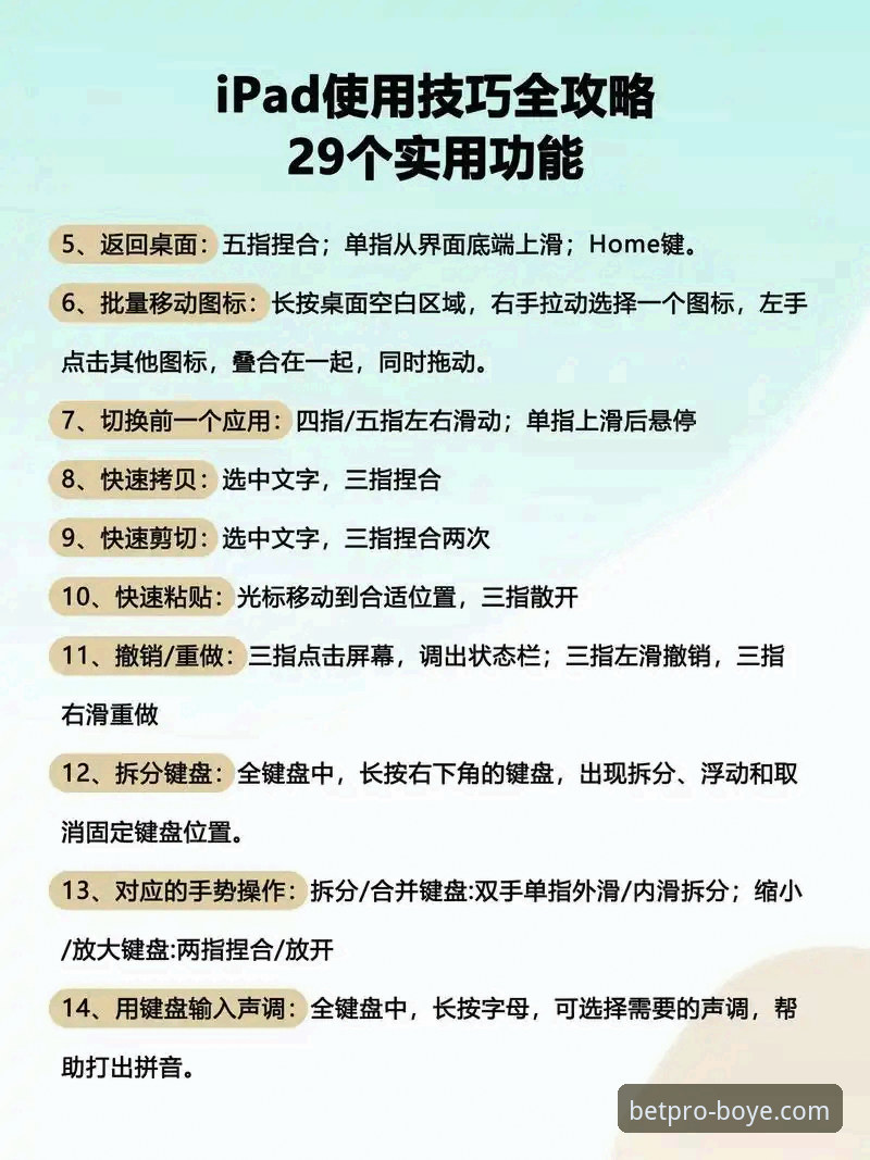 博业体育体验 博业体育平台新手体验完整指南:从下载到使用的每一步详解